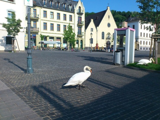 Deutschland - Koblenz - Wir sind zu früher Stunde nicht die einzigen Fußgänger in der Fußgängerzone :-D