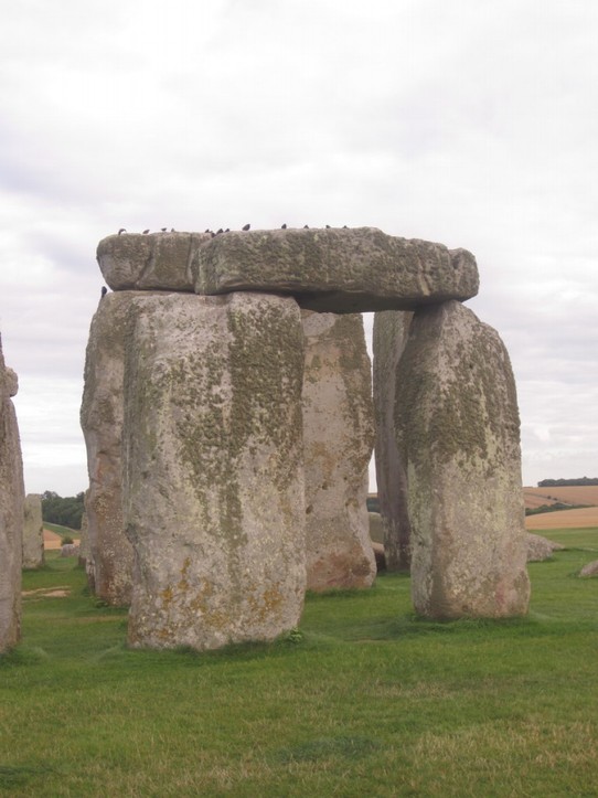 Vereinigtes Königreich - Stonehenge - Möwen relaxen hier