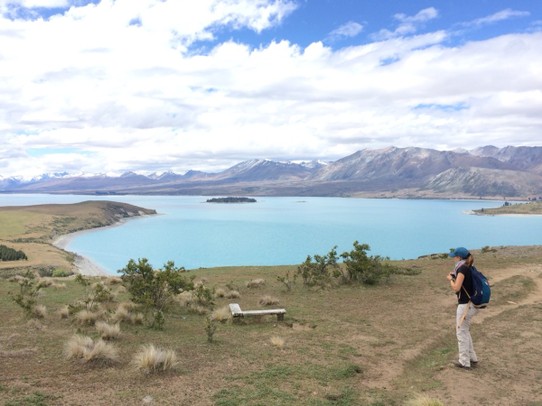 Neuseeland - Fairlie - Wanderung am Lake Tekapo zum Mt John