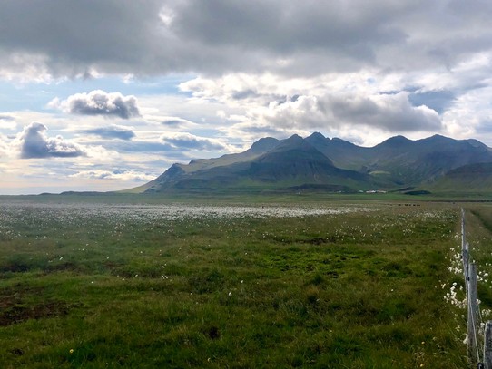Island - Eyja- og Miklaholtshreppur - 🥰