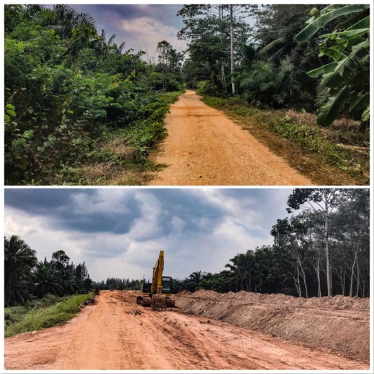 Thailand - Amphoe Ban Ta Khun - Sie haben meinen Dschungel platt gemacht. Da entsteht der nächste Plantagenhighway. Nach ein paar km gibt es noch eine Abzweigung in die alte Straße, weil die neue Strecke dann anders verläuft. 
Hier zum Vergleich, wie ich 2016 gefahren bin und wie es 2017 aussieht.