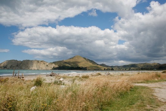 Neuseeland - Tolaga Bay -  