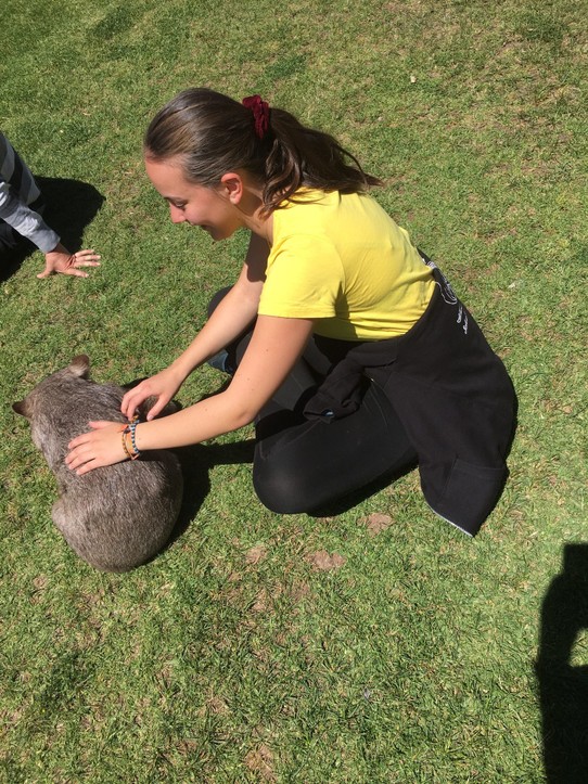 Australien - Bordertown - Roxy war einfach genial! Die Wombat Dame ist einem immer hinterher gelaufen und hat sich auf der Rücken geworfen, dass man ihr den Bauch streichelt. 