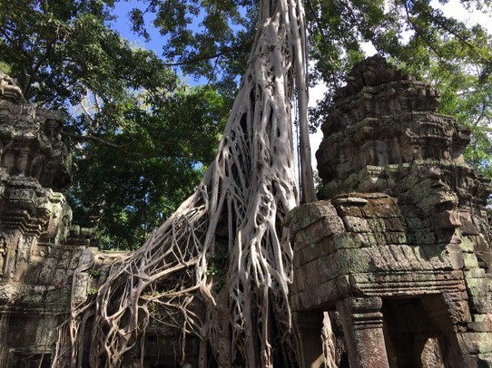 Kambodscha - Siem Reap - 