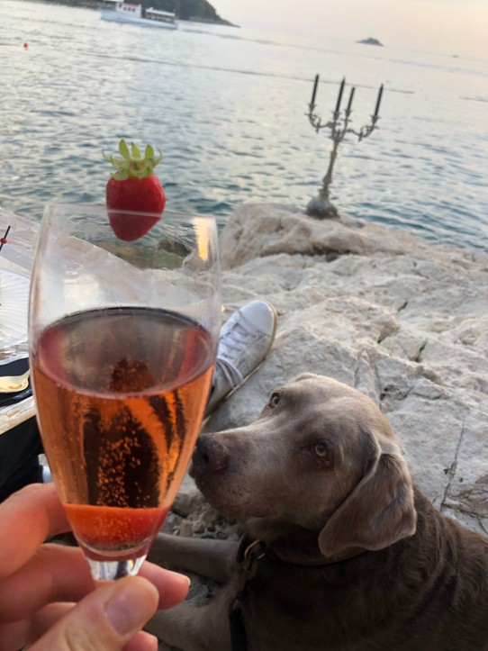 Kroatien - Rovinj - Time for some champagne 🥂