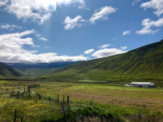 Island - Ísafjarðarbær - Hier macht Ausreiten sicherlich viiiiel Spass....