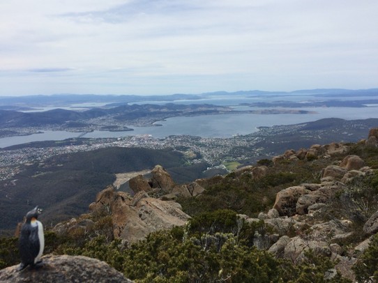 Australien - Hobart - Mt Wellington hoch über Hobart, Hauptstadt Tasmaniens (und zuhause für die Hälfte der Bevölkerung)