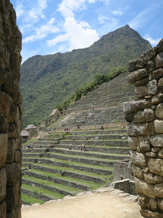 Peru - Machu Picchu - Quelques terrasses