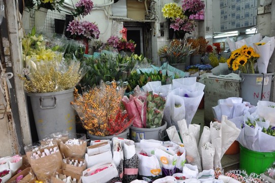 Hongkong - Hongkong - Flower Market... alles rund um den grünen Daumen 