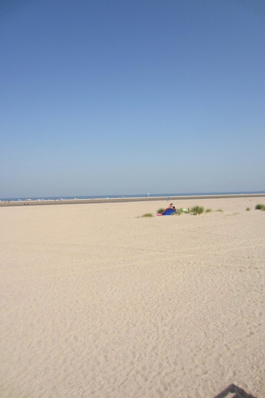 Niederlande - Noordwijk aan Zee - ....doch nicht die Wüste Gobi? 