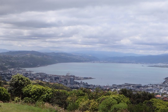 Neuseeland - Wellington - 