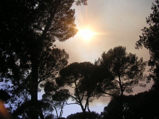 Cote d'Azur, Südfrankreich - Saint-Raphaël - Waldbrände