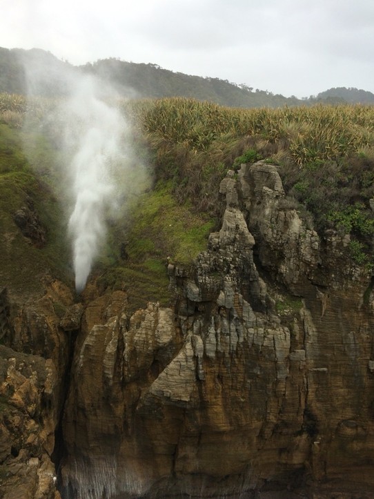 Neuseeland - Greymouth - Blowholes - die Flut drückt gewaltig in die Klippen
