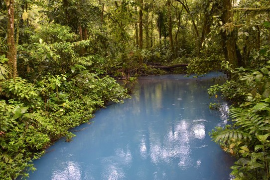 Costa Rica - Upala - Meistens ging es über Schotter, Gesteinsbrocken und durch Matsch. Der Gebirgsregenwald machte seinen Namen alle Ehre, es fing an zu Regnen.