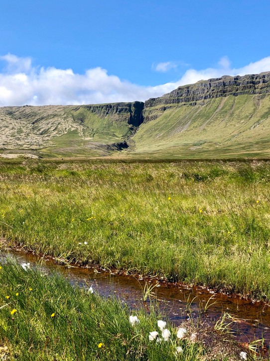 Island - Snæfellsbær - ...und natürlich noch Wasser 😍