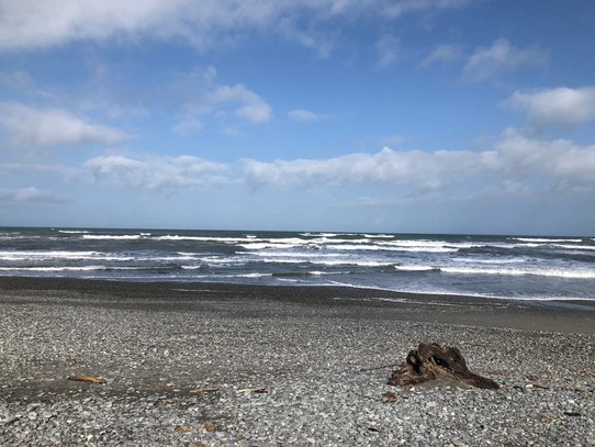 Neuseeland - Carters Beach - Super Wetter an der eigentlich regnerischen Westküste, topp!