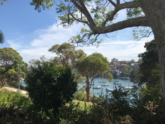 Australien - Cremorne Point - Blick vom Garten