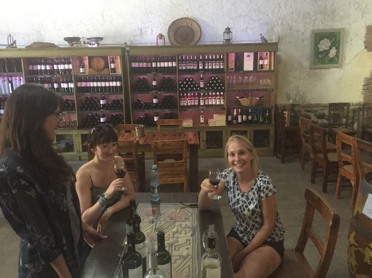 Argentina - Mendoza - And Ymke tasting wine