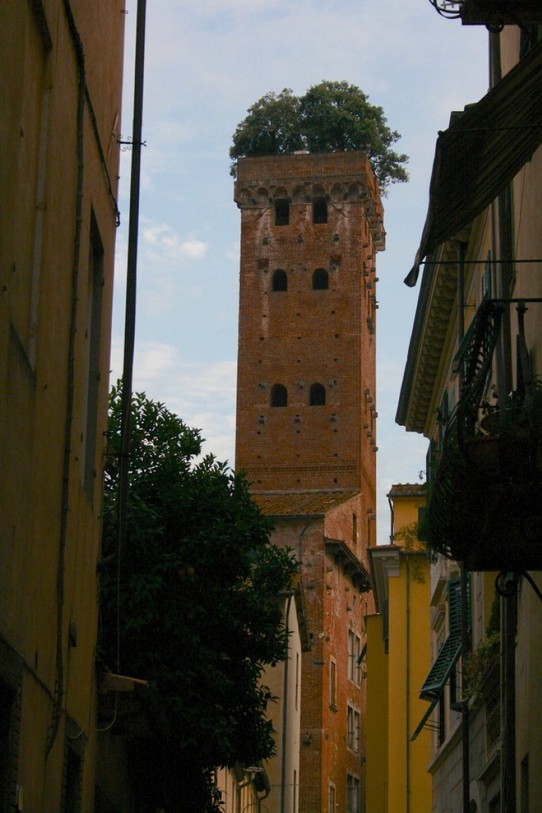 Italy - Lucca - Torre del ore