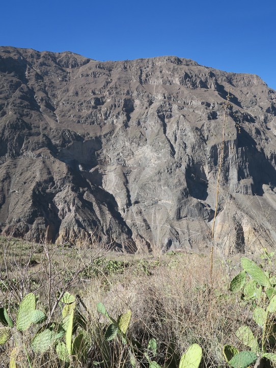 Peru - Cabanaconde District - J2 : le retour, descente jusqu'au rio Colca en 1h puis montée par San Juan de Chucho en 3h