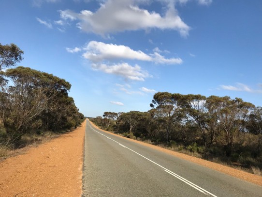 Australien - Albany - Unendliche Straßen ohne Verkehr