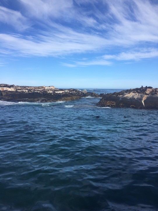 Südafrika - Cape Point - Seal Island