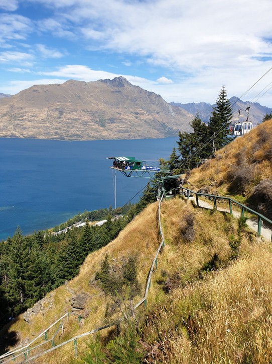 Neuseeland - Auckland - Bungee vom Bob's Peak