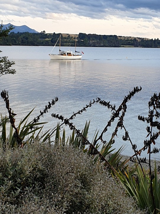 Neuseeland - Manapouri - Lake Te Anau, die Faith auf dem Weg zum Steg