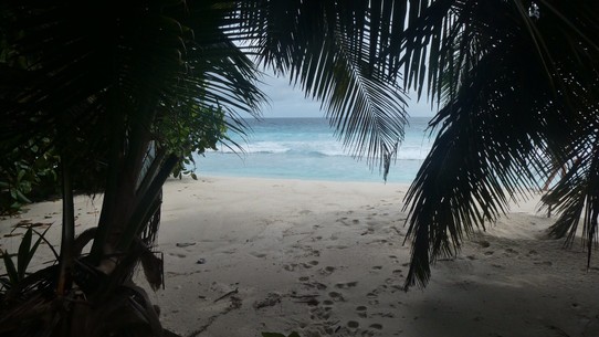 Seychellen -  - Angekommen am Honeymoon Beach