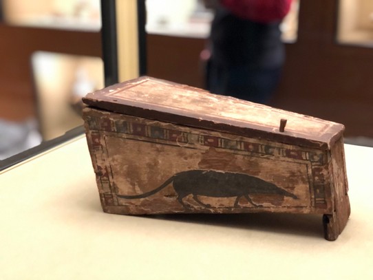 Österreich - Wien - Spitzmaus Mummy in a Coffin and other Treasures - Der Kurator dieser Ausstellung ist Wes Anderson 