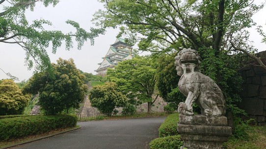 Japan - Ōsaka - Das Schloss von Osaka trohnt majestätisch in der Mitte der Stadt
