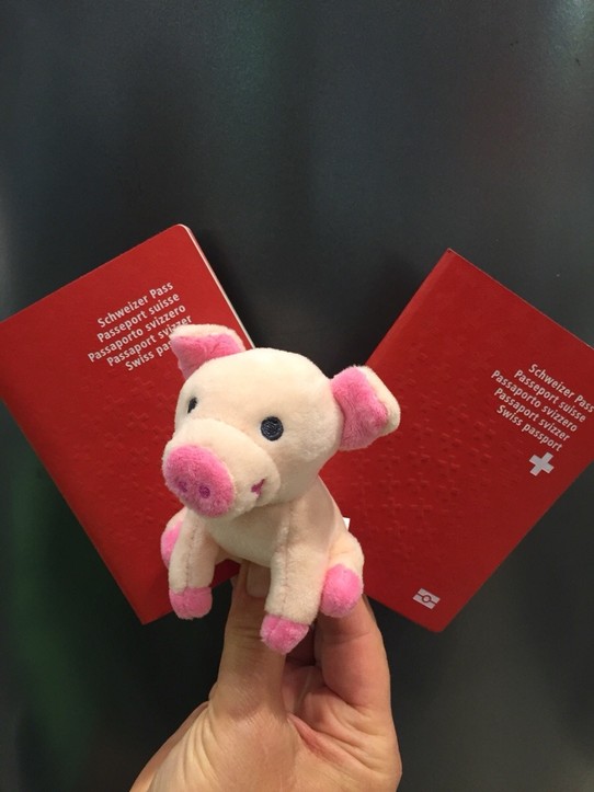 Schweiz - Zürich-Flughafen - Ab sofort begleitet uns Schweinchen Grunzi auf der Reise - das muss ja gut gehen!