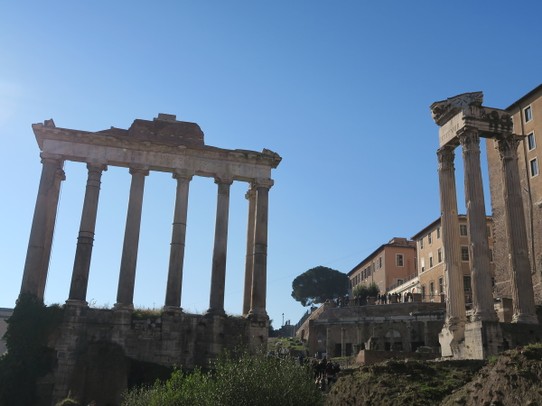Italy - Rome - Forum romain, toujours debout (enfin en partie)