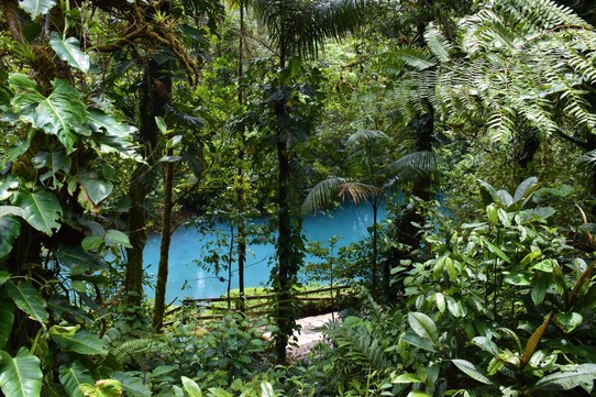 Costa Rica - Upala - ... wird das Wasser türkisblau und bildet einen schönen Kontrast zum grünen Regenwald.