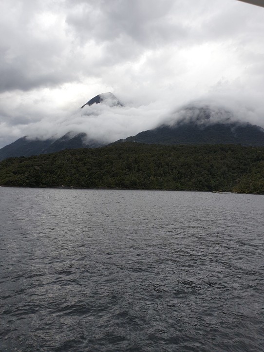 Neuseeland - Doubtful Sound - 