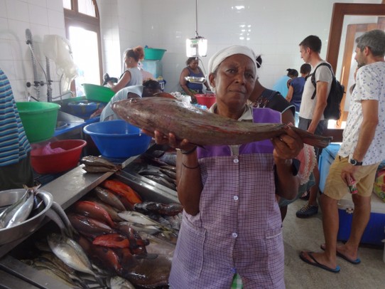 Kap Verde - Praia - Frischer Fisch bei Oma