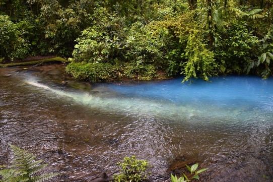Costa Rica - Upala - Nach 3 km hatten wir unser Ziel erreicht.
An dieser Stelle treffen zwei Gebirgsflüsse aufeinander, durch ihre verschiedenen Temperaturen, ihren unterschiedlichen PH Wert, und den verschiedenen Mineralien findet eine chemische Reaktion statt.
An der Stelle wo beide Flüsse zusammentreffen...