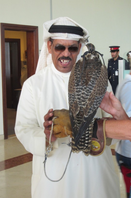 Bahrain - Manamah - Werden von Falken empfangen! (:
