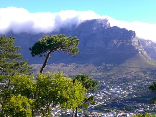 Südafrika - Kapstadt - In voller Pracht