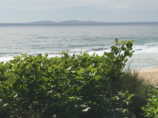 Australien - Narooma - Blick auf Montague Island