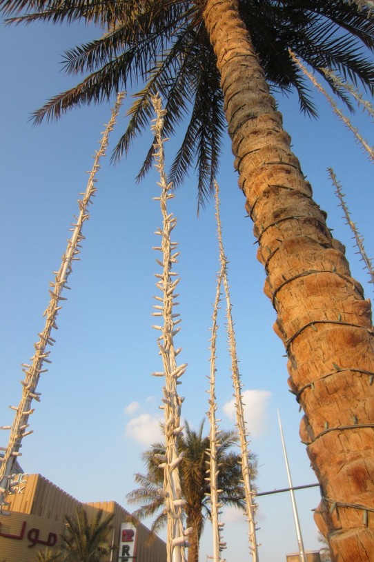 Vereinigte Arabische Emirate - Dubai - Palmenbeleuchtung