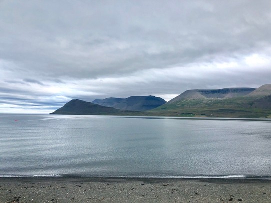 Island - Þingeyri - Blick auf den Dýrafjörður.
