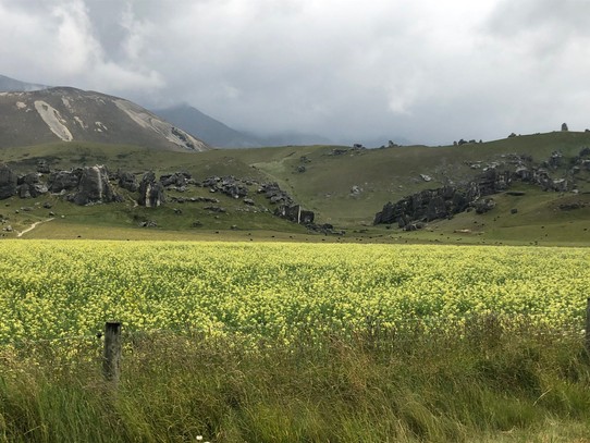 Neuseeland - Greymouth - Quer über die Südinsel vorbei an den Kalksteinformationen von Castle Rocks in den Southern Alps. 