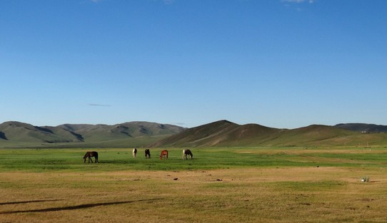 Mongolia - Baganuur - Gun-Galuut NP