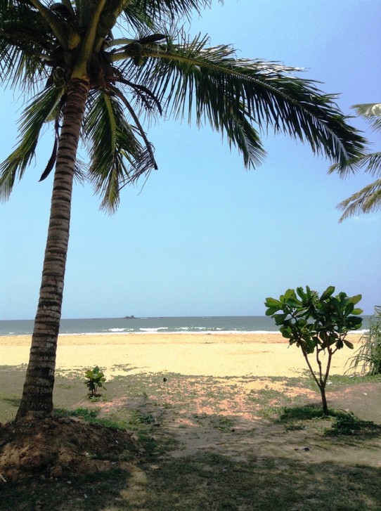 Sri Lanka - Bentota Beach - 