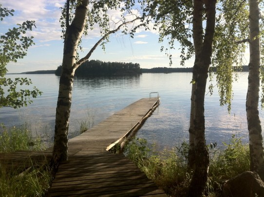 Finland - Puumala - ...morgens zur Insel schwimmen. Da sollten Schlangen sein. Keine gefunden.