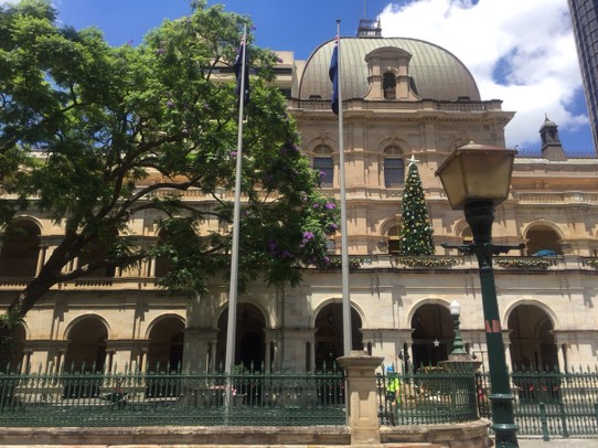 Australien - Brisbane - Parlament House blühender Baum und Weihnachtsbaum