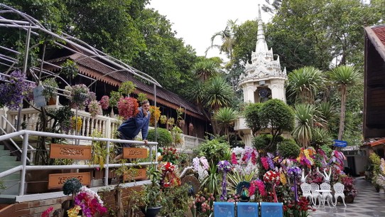 Thailand - Chiang Mai - Flower Power