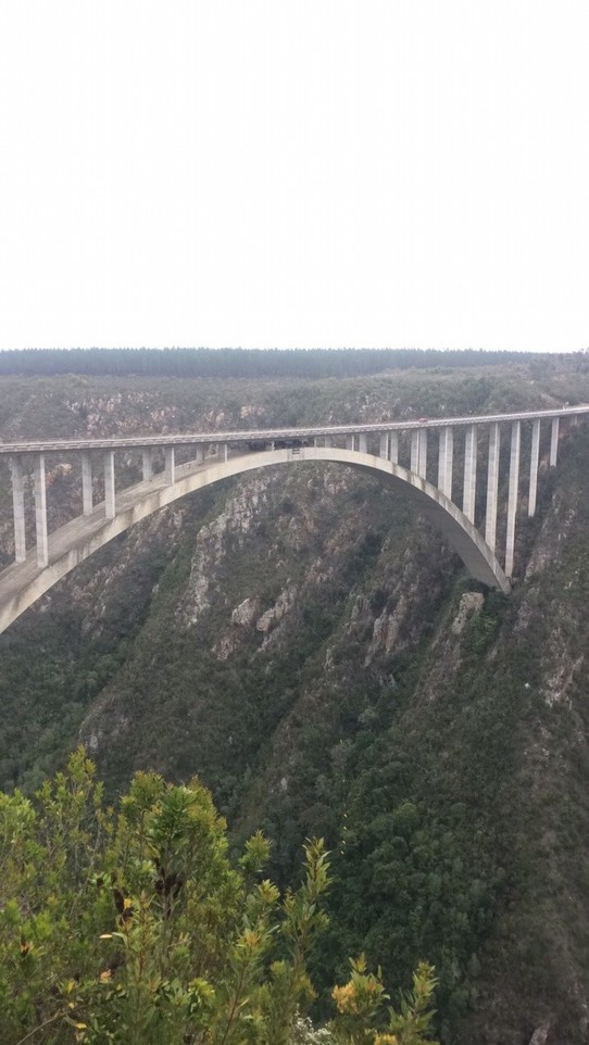 Südafrika - Knysna - Höchste Bungeejump-Brücke der Welt (ich bin natürlich nicht gesprungen 😅)