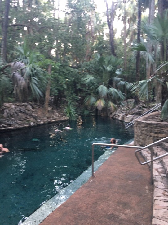 Australien - Mutitjulu - Die Mataranka Hot Springs
